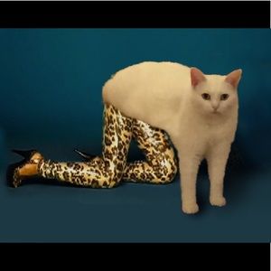 Meet your Posher, Alexxa